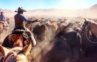 Two cowboys on horseback herd a large group of cattle through a dusty landscape. The scene is sunlit, creating a warm, hazy atmosphere. One cowboy, in a hat and vest, is prominent on the right with horses surrounding him.