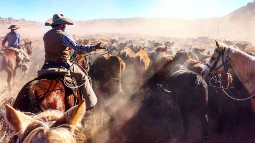 Two cowboys on horseback herd a large group of cattle through a dusty landscape. The scene is sunlit, creating a warm, hazy atmosphere. One cowboy, in a hat and vest, is prominent on the right with horses surrounding him.