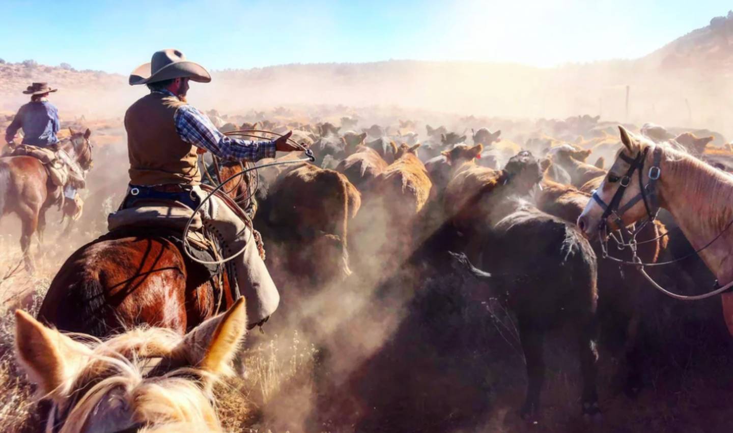 Two cowboys on horseback herd a large group of cattle through a dusty landscape. The scene is sunlit, creating a warm, hazy atmosphere. One cowboy, in a hat and vest, is prominent on the right with horses surrounding him.