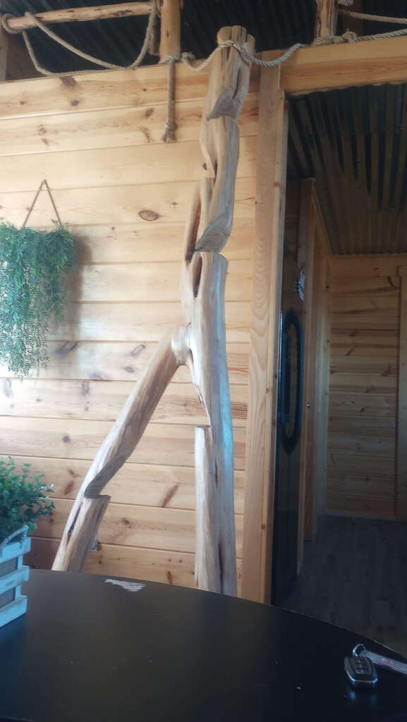 A rustic interior features a twisting wooden sculpture resembling a humanoid form next to a wall of smooth wooden planks. A lush green plant hangs on the wall, and part of a dark table surface is visible in the foreground.