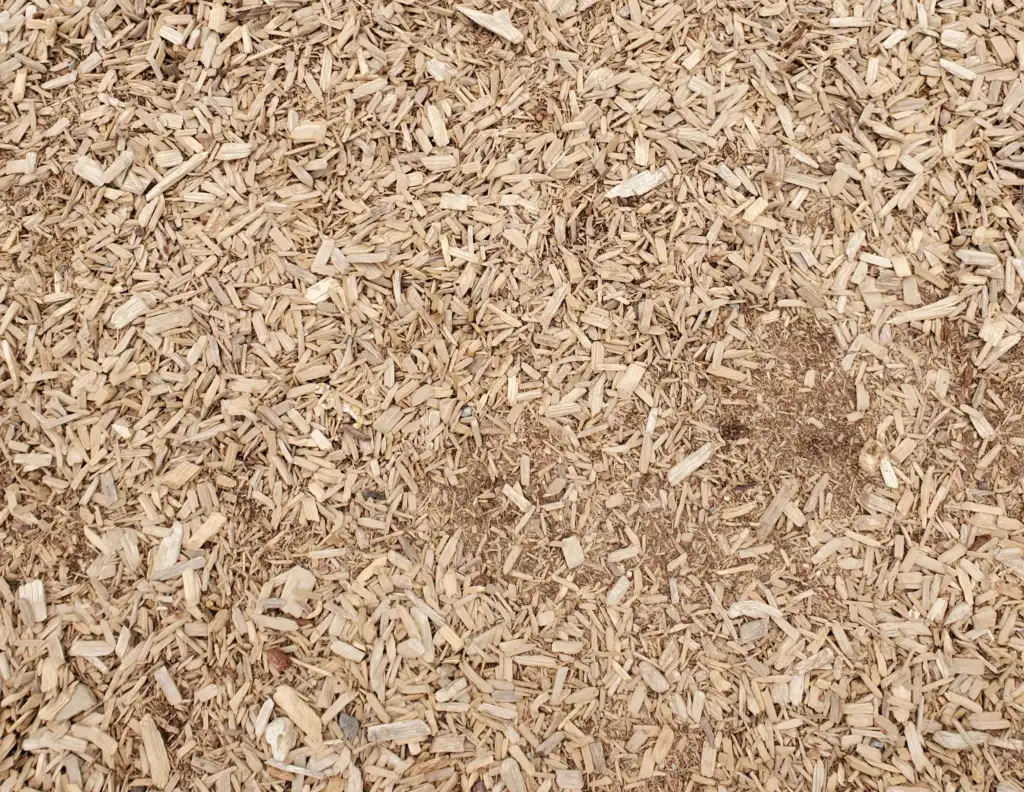 A close-up view of a ground covered in light brown wood chips. The chips vary in size and shape, creating a textured surface. The overall color is a warm beige, giving a natural, earthy appearance.