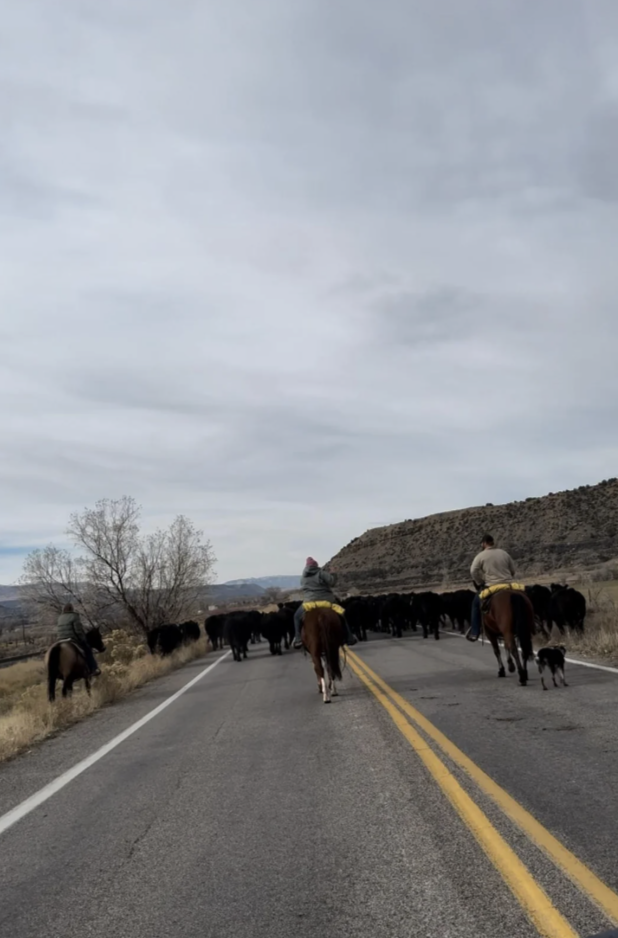 Two people on horseback herd cattle down a rural road, with a dog nearby. The landscape features barren trees and distant hills under a cloudy sky. The scene conveys a rustic, pastoral setting.