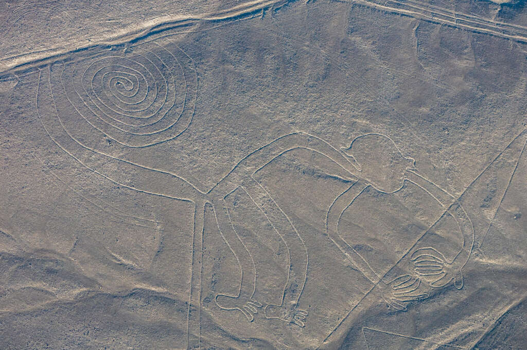 Aerial view of the Nazca Lines depicting a large monkey figure etched into the desert, featuring a spiral tail and distinct limbs. The surrounding area is barren with visible geometric patterns.