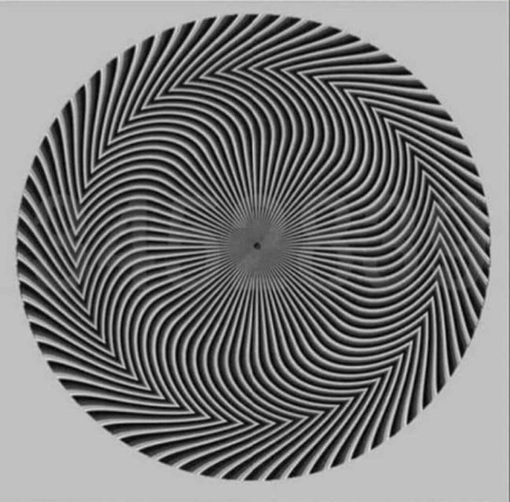 A black and white circular optical illusion with swirling zigzag patterns radiating from the center, creating a hypnotic, spiral effect.