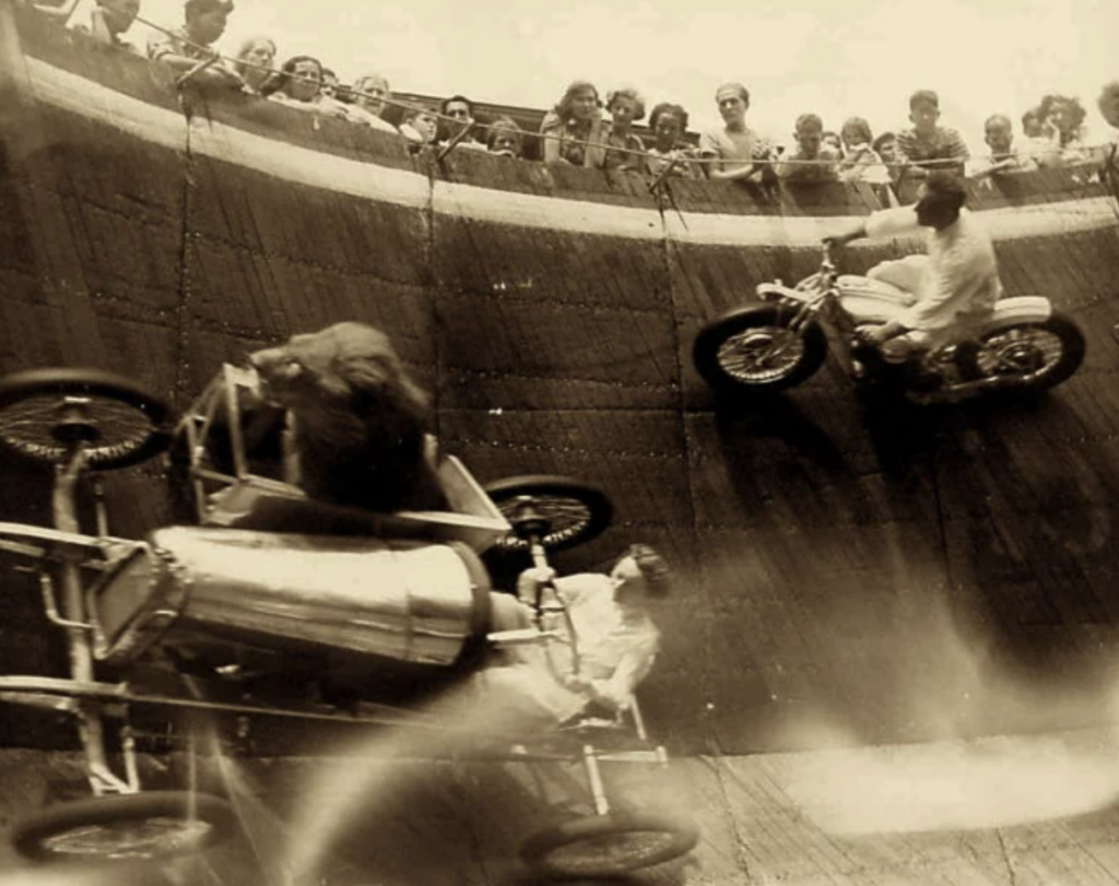 A vintage circus act with performers on motorcycles riding inside a vertical wooden wall. One motorcycle has a sidecar with a lion inside. Spectators watch from above, captivated by the daring performance. Sepia-toned photograph.