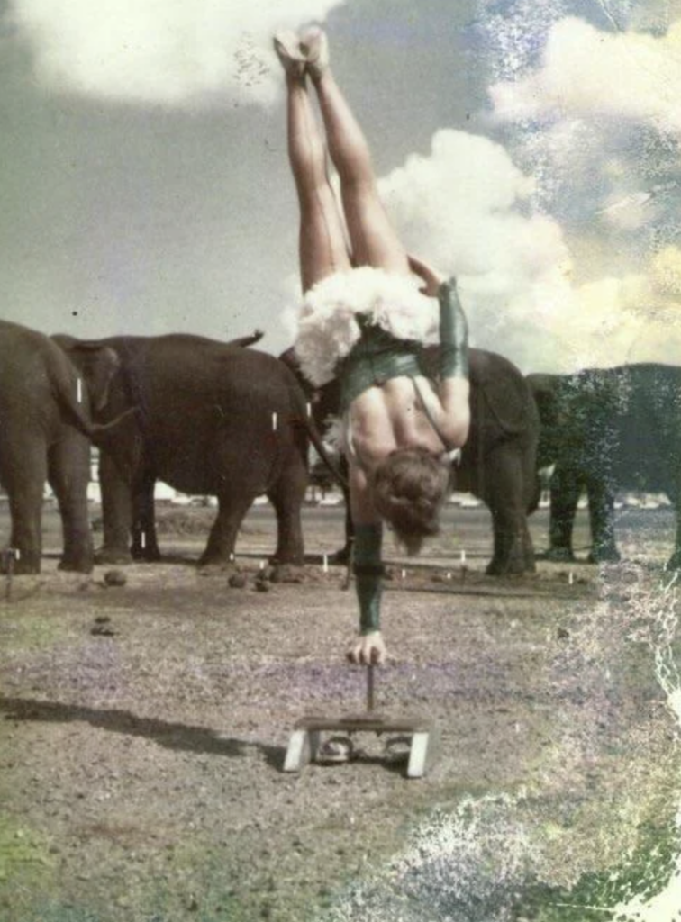 A performer balances on one hand on a small platform, with legs pointed upward, wearing a frilled costume. In the background, several elephants stand on a dirt surface under a cloudy sky.