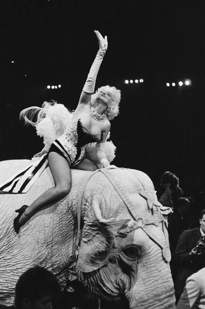 A performer in a glamorous costume and high heels rides on an elaborately adorned elephant. She extends one arm upwards dramatically. Stage lights illuminate the scene. Spectators and a photographer are visible in the foreground.