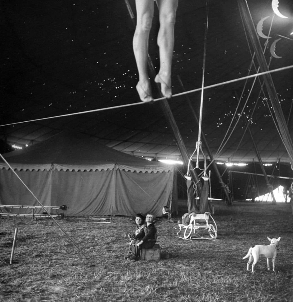 A black and white circus scene inside a tent. A performer walks on a tightrope, with onlookers seated below. Another performer hangs from a trapeze, and a goat stands nearby. The tent is large with ropes and scattered equipment around.