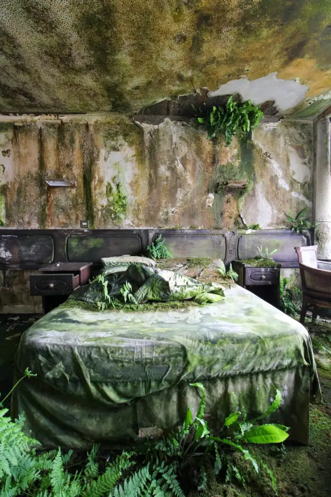 A bed in a decaying room is overgrown with ferns and moss. The walls and ceiling are covered in green foliage and mold, creating a blend of nature reclaiming the space. Light filters softly through a window, adding to the serene yet eerie atmosphere.