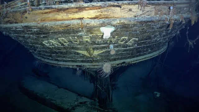 Underwater view of a shipwrecks bow, marked with "ENDURANCE." The wooden structure is encrusted with marine growth. Scattered sea creatures, including a few jellyfish, float nearby in the dimly lit, deep ocean environment.