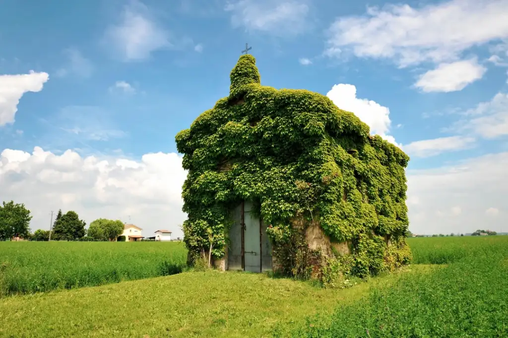 Small stone chapel covered in lush green ivy, set in the middle of a vast grassy field under a bright blue sky with fluffy white clouds. Distant trees and buildings dot the horizon, adding to the serene rural landscape.