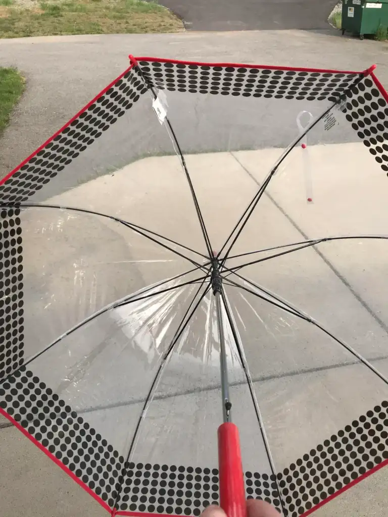 A person holds a transparent, dome-shaped umbrella with red and black accents. The umbrella's structure and ribs are visible. The background includes a grassy area and a paved path.