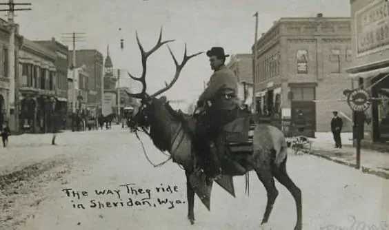 A vintage black and white postcard shows a person riding an elk through a snowy street in Sheridan, Wyoming. The caption reads, "The way they ride in Sheridan, Wyo." Buildings and a few people are visible in the background.