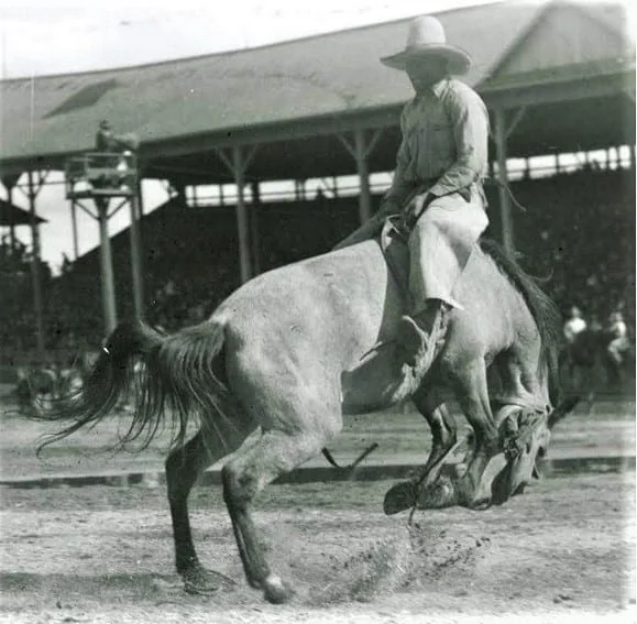 A vintage photograph of a person in a loose outfit and wide-brimmed hat riding a bucking horse in an arena. A large grandstand filled with spectators is visible in the background. The scene captures a moment of intense motion and skill.