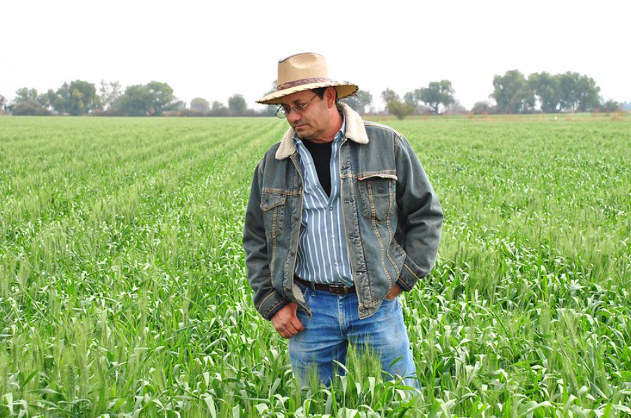 A man in a straw hat and denim jacket stands in a lush green field, looking down thoughtfully. Trees are visible in the background under a cloudy sky.