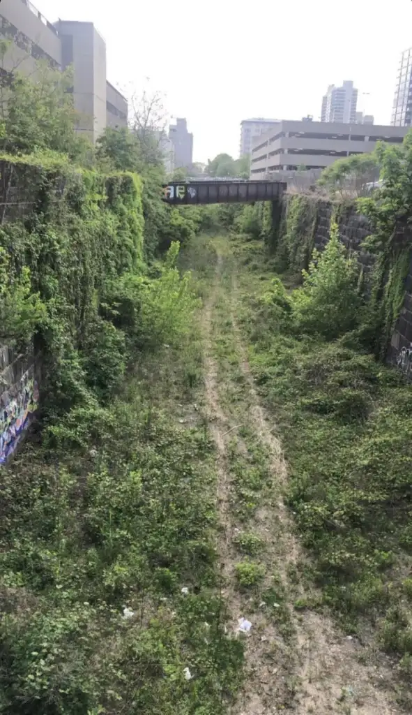 Overgrown path in an urban setting with greenery covering the ground and walls. A small bridge crosses overhead. Buildings are visible in the background, and graffiti is present on the walls.