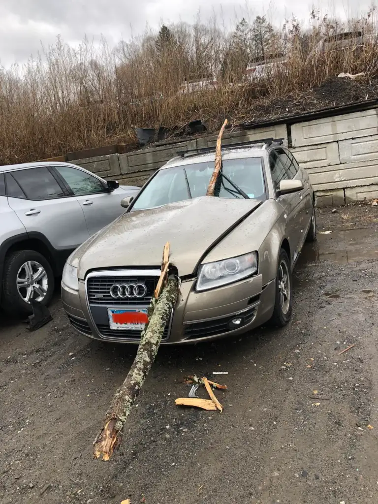 A gray car parked on a gravel surface is damaged by a broken tree branch piercing the windshield. The branch is lodged into the car's hood, with other debris scattered nearby. Another vehicle is parked beside it, and a concrete wall is in the background.