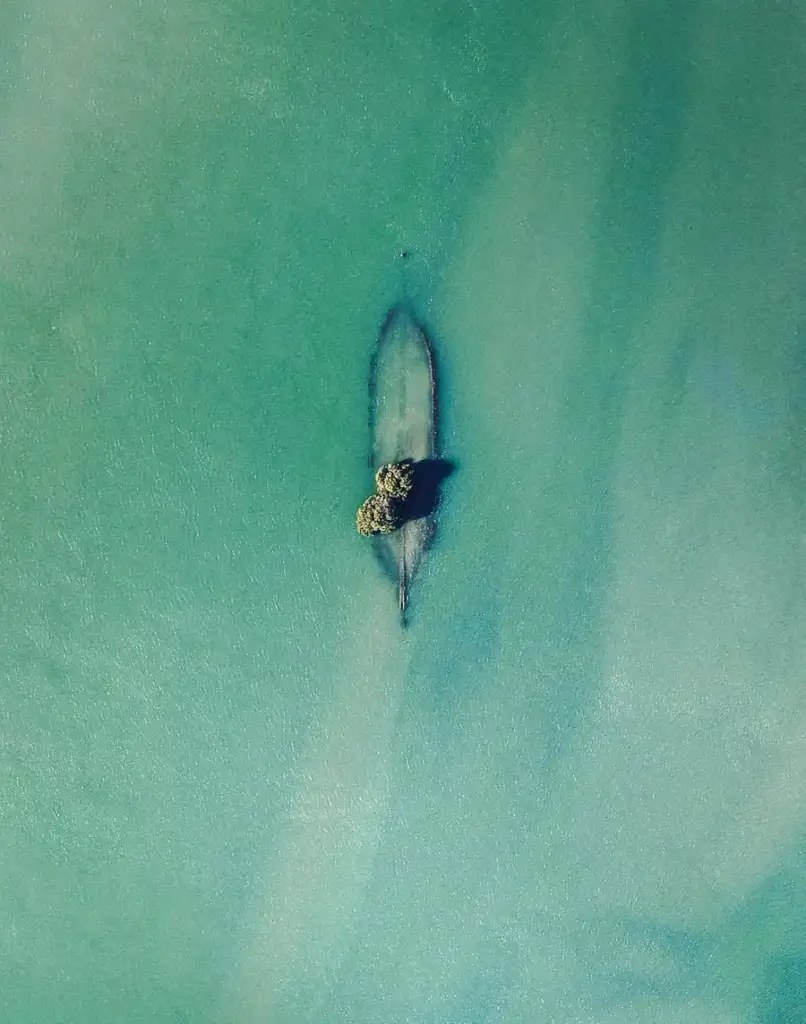 Aerial view of a small, elongated island with two green trees in the middle of a vast, calm turquoise sea. Shadows of the island create a subtle gradient in the surrounding water.