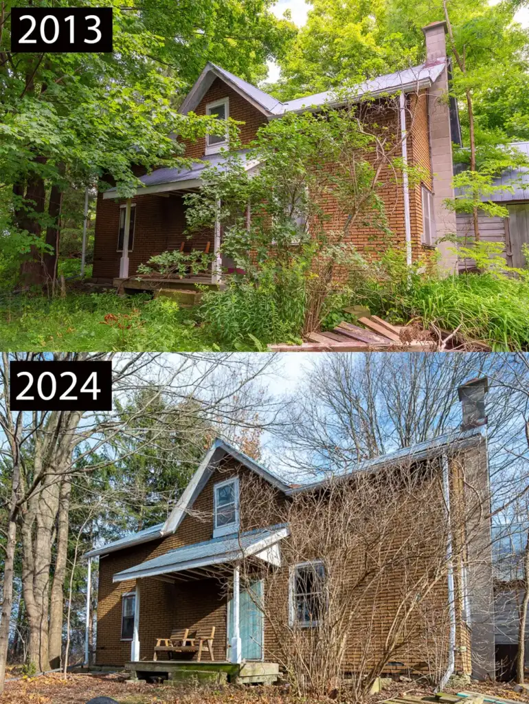 Two images of the same brick house in a forested area, labeled 2013 and 2024. In 2013, it's surrounded by lush greenery. By 2024, the trees are bare, and the house is more visible, with some bushes and a clearer yard.