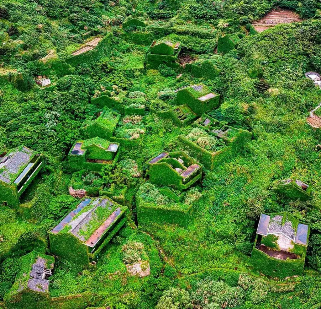 Aerial view of an abandoned village overgrown with lush green vegetation. The roofs and structures are covered with moss and plants, blending harmoniously with the surrounding landscape, creating a striking contrast with the natural environment.