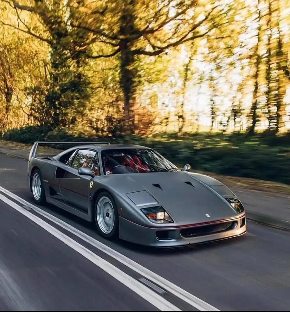 A sleek, grey sports car drives at speed on a tree-lined road. The sunlight filters through the leaves, casting dappled shadows on the pavement. The car features a low profile and a distinctive rear spoiler.