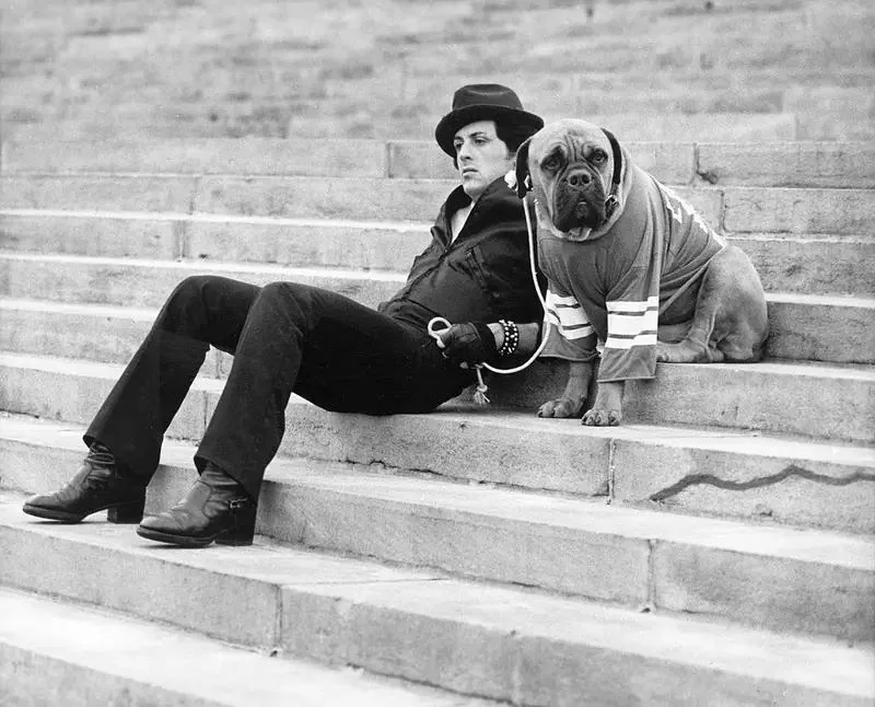 A person wearing a hat and black clothing sits on stone steps with a large dog dressed in a jacket. The person appears relaxed, holding the dog's leash, as they both look in the same direction.