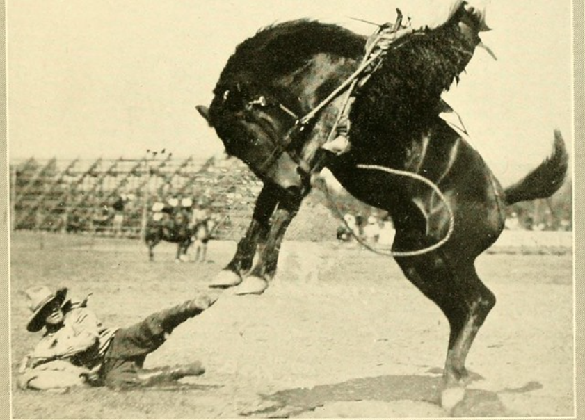 A cowboy is thrown onto the ground by a bucking horse in a rodeo arena. The horse is mid-air with its front legs raised. Spectators and a section of bleachers can be seen blurred in the background.