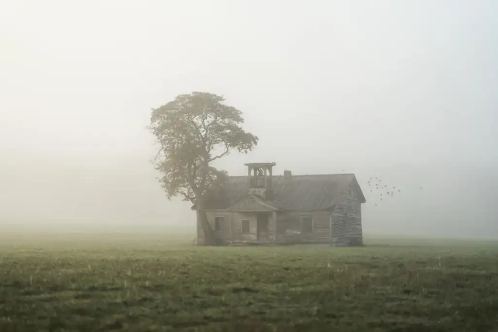 A solitary, weathered house stands in a misty field, backed by a large tree. Birds fly nearby in the foggy atmosphere, creating a haunting and serene scene. The sky is overcast, enhancing the moody ambiance.