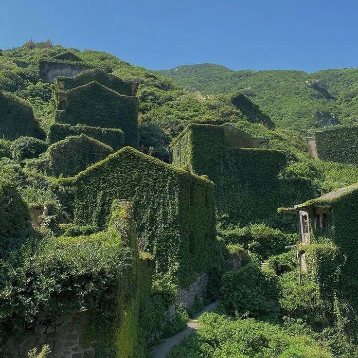 Abandoned village buildings covered in lush green ivy and vegetation, with a backdrop of verdant hills under a clear blue sky. A narrow pathway weaves through the foliage-covered structures.