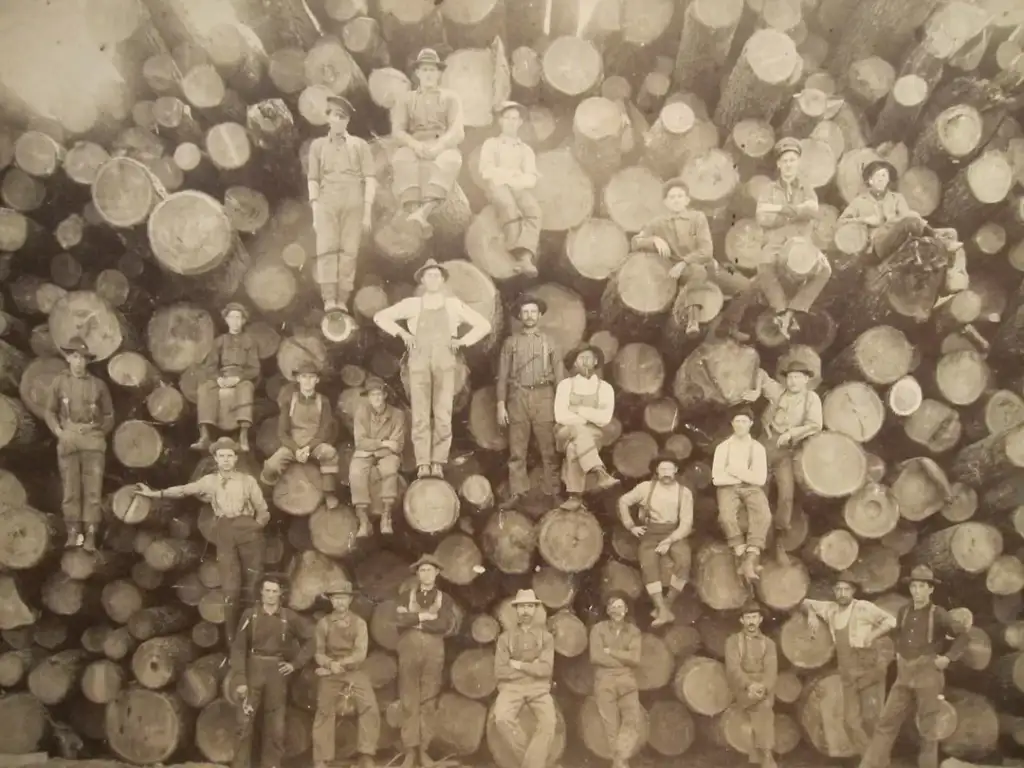 Sepia-toned photo featuring a group of lumberjacks posing on a large stack of logs. They are arranged at different levels and wear work clothes and hats. The scene captures an early 20th-century logging environment.