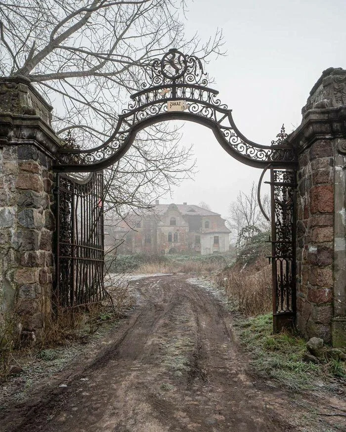 A wrought iron gate with ornate details stands open, leading to a dirt path. The path is surrounded by frosty grass and barren trees, leading to an old, foggy, abandoned stone building in the background.