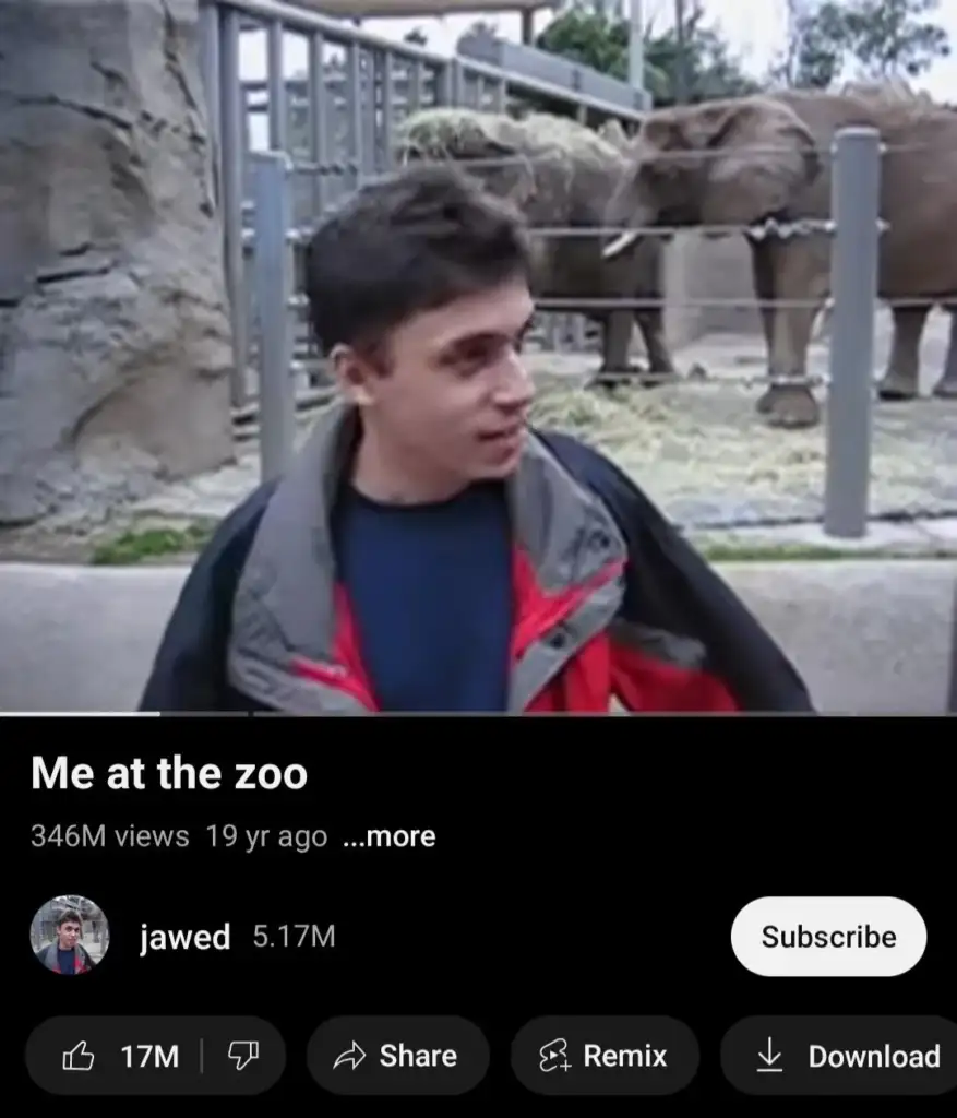 A young person stands in front of a zoo enclosure with elephants in the background. They are wearing a red and gray jacket, and the video interface shows 346 million views and 5.17 million subscribers for the channel.