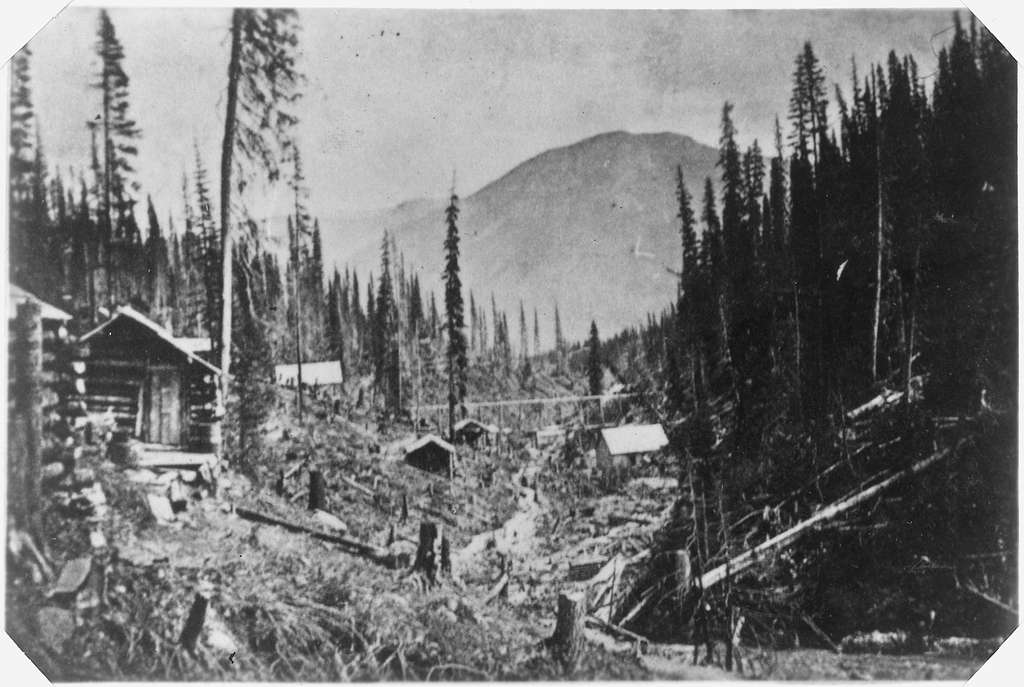 Black and white image of a forest clearing with several log cabins. Tall, thin trees surround the area, and a mountain is visible in the background. The ground is uneven, with logs and tree stumps scattered throughout.