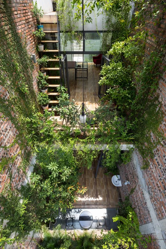 Vertical view of a house interior with an open courtyard. Brick walls are adorned with cascading green plants, and there are two levels visible with wooden floors and minimal furniture. Sunlight filters through, creating a serene atmosphere.