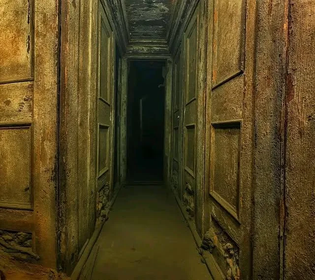 A dimly lit, narrow hallway with peeling, aged walls and a worn-out, dirty floor leads into darkness. The wooden panels on the walls are distressed, creating an eerie, abandoned atmosphere.