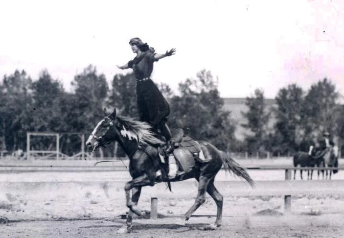 A person in a dark outfit rides a horse while standing upright on its back. The horse is galloping in an outdoor arena. Trees and fencing are visible in the background.