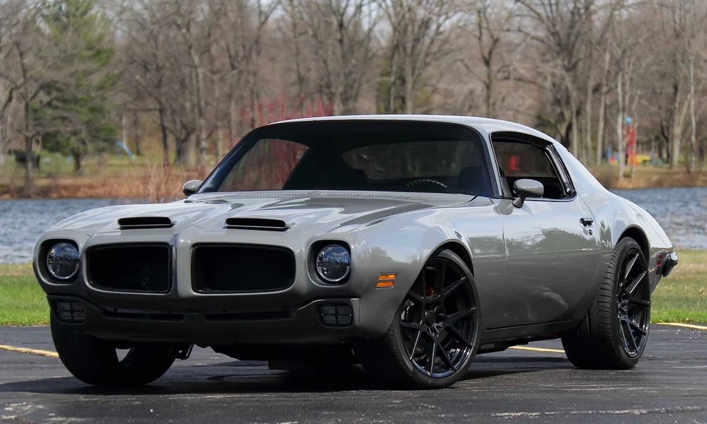 A gray classic muscle car is parked on a paved surface near a lake and leafless trees. The car features a sleek design with a black grille, dual hood scoops, and large black wheels. The background is a serene park setting.