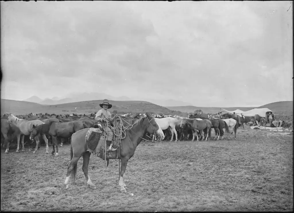 A cowboy on horseback holds a lasso, positioned in front of a herd of horses in a vast, open landscape. Two figures are visible near a tent in the background, with mountains on the horizon under a cloudy sky.