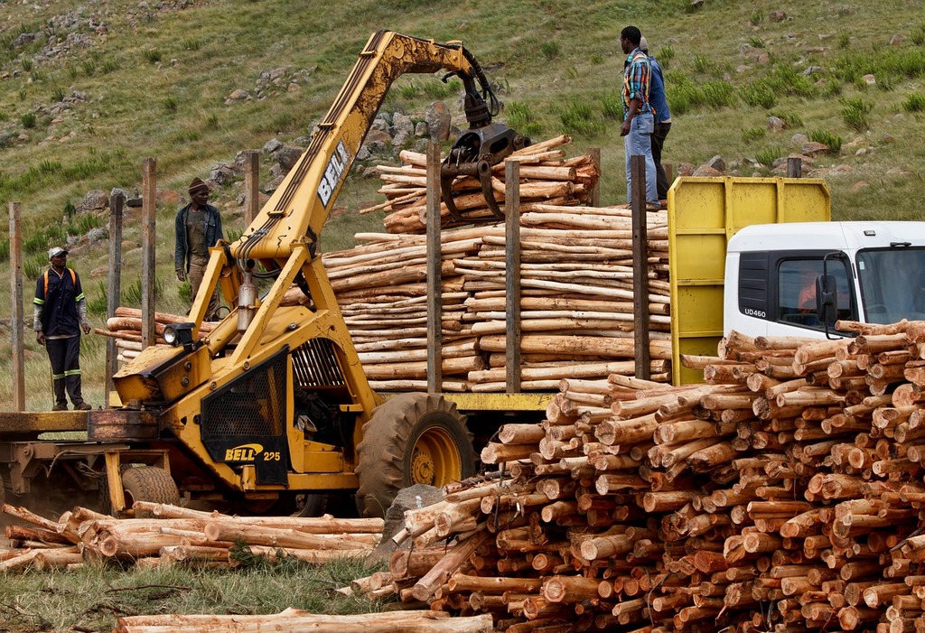 A yellow backhoe loader stacks cut logs onto a truck bed in a rural area. Three workers oversee the process, standing nearby and on the truck. Piles of logs are in the foreground, with grassy hills in the background.