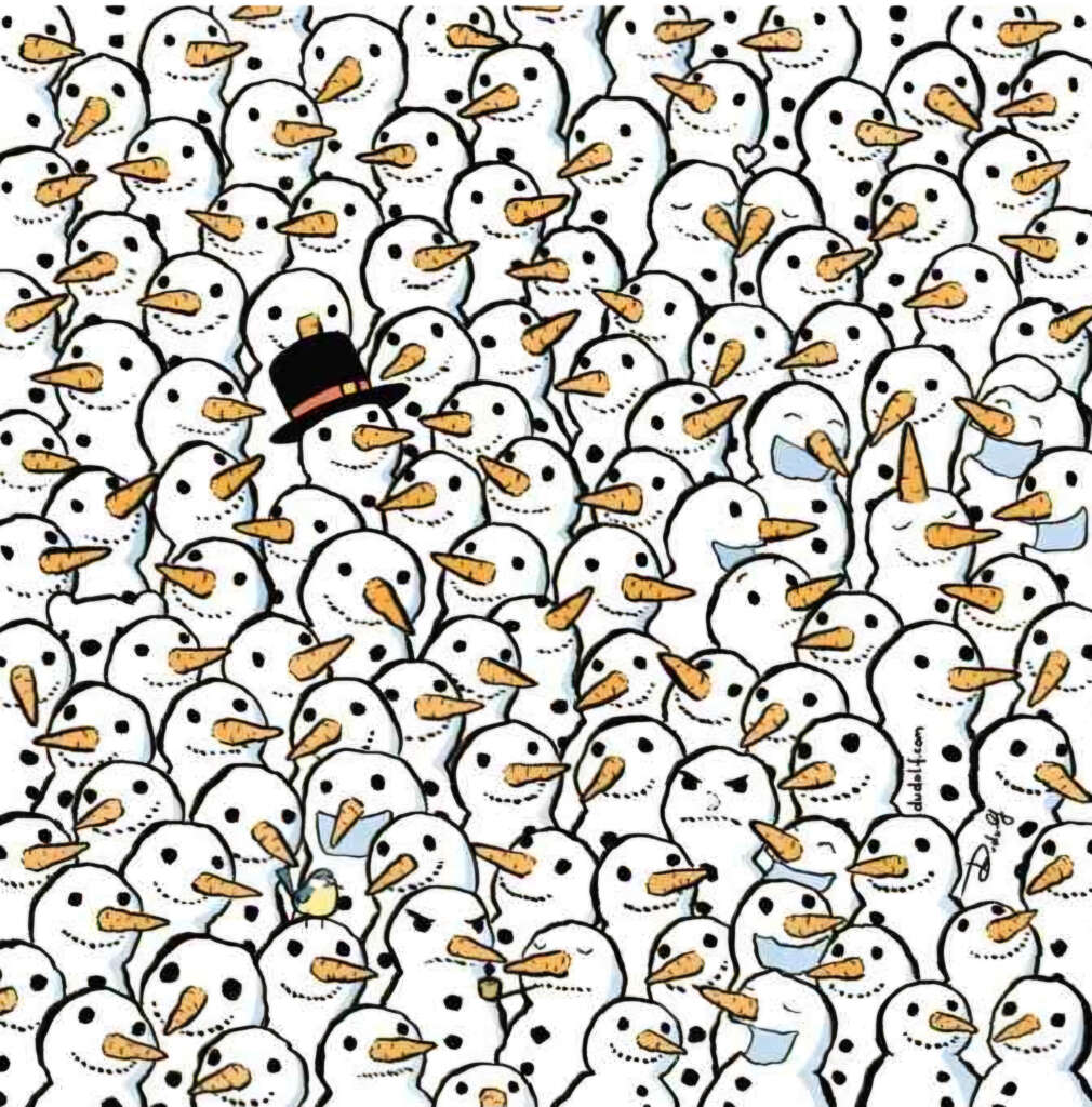 Illustration of numerous snowmen with carrot noses and pebble eyes. One snowman has a black hat, and a panda is playfully hidden among them.