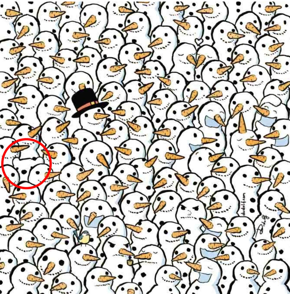 A puzzle illustration featuring numerous snowmen with carrot noses and black eyes. Among them, there's a ghost wearing a white sheet hiding, marked by a red circle on the left side. Some snowmen have varying expressions and accessories.