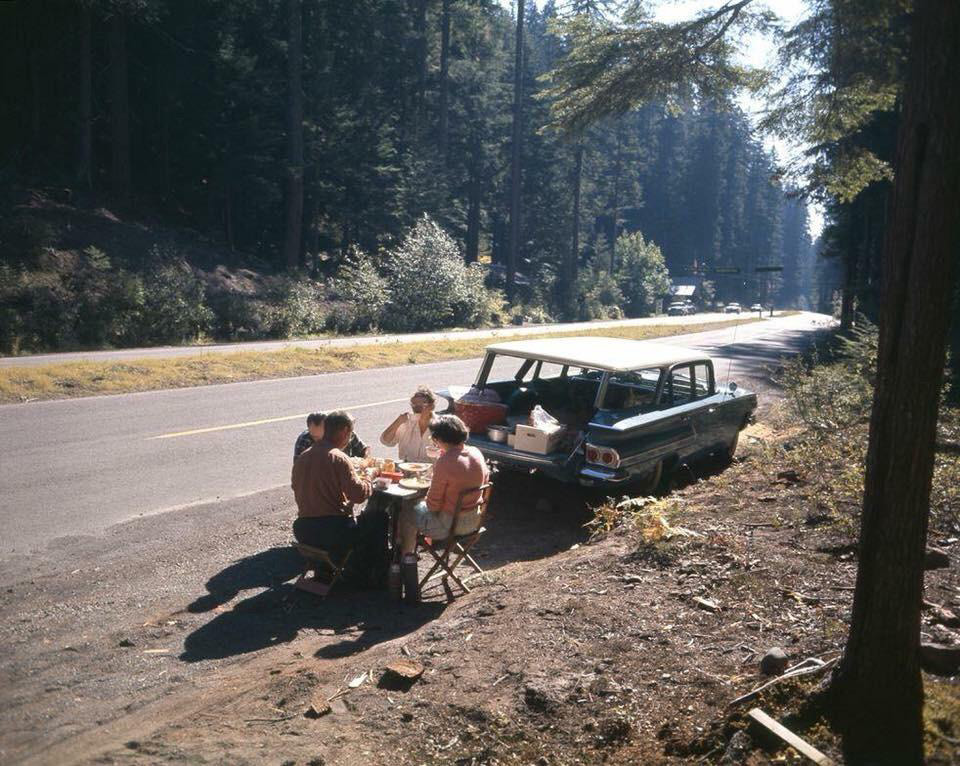 A group of people sits around a small table having a picnic by the roadside, next to a vintage station wagon. Tall trees line the road, and sunlight filters through the branches, casting shadows on the ground.