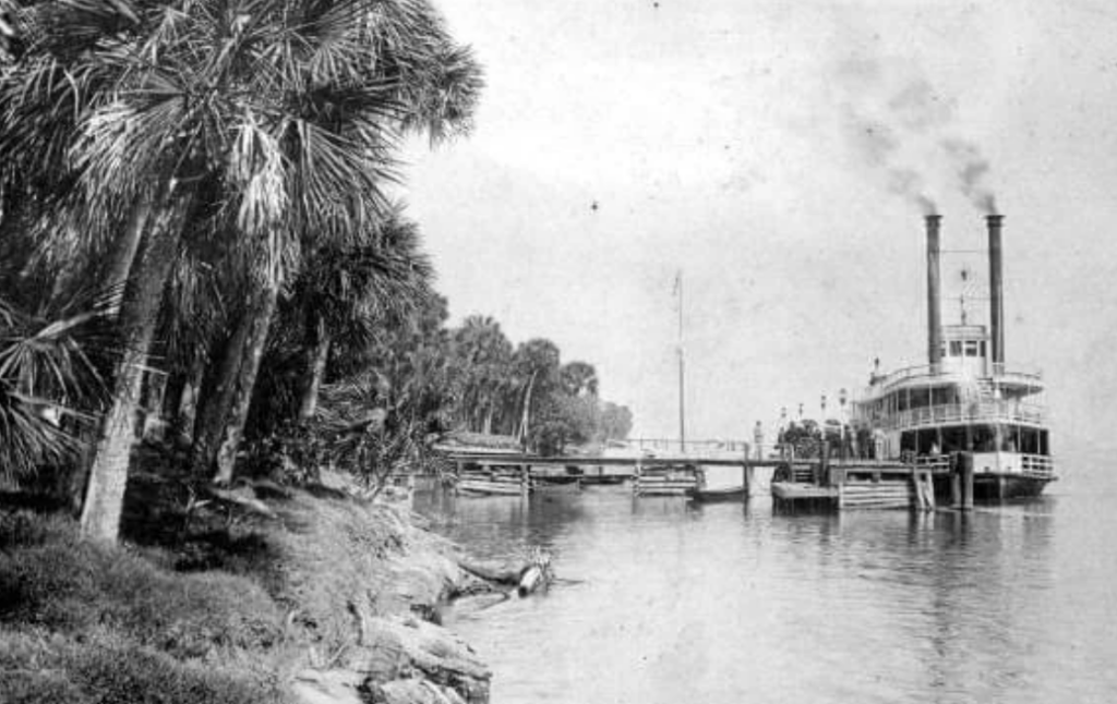 A vintage steamboat with two tall smokestacks is docked at a wooden pier. Palm trees line the riverbank under a clear sky, creating a serene atmosphere. The steamboat emits light smoke, indicating it is in operation.