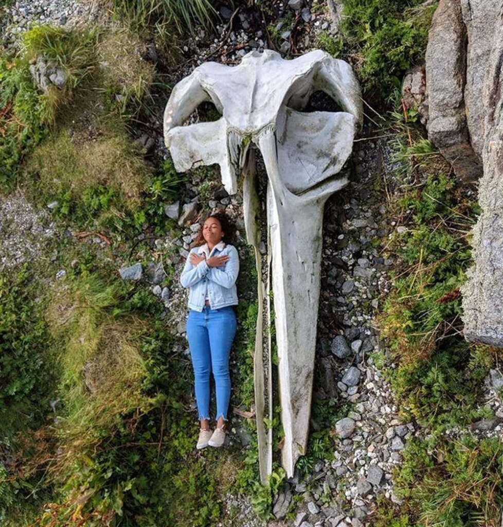 A person lies on the ground beside a large whale skull that is longer than their body. The skull's elongated shape contrasts with the surrounding greenery and rocks. The person is dressed in a light blue jacket and jeans, resting with arms crossed.