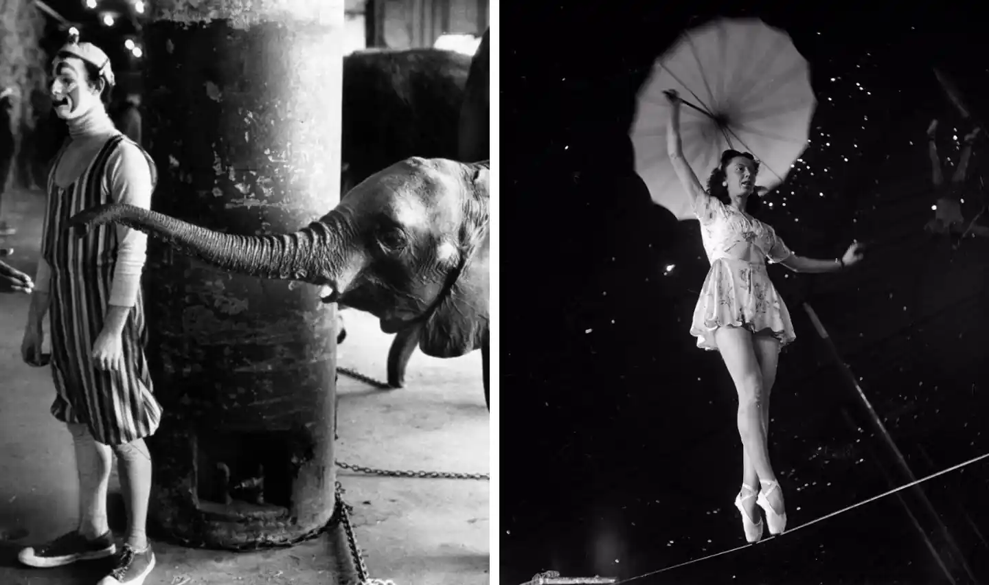 Left: A clown stands near an elephant, which playfully touches the clown with its trunk. Right: A tightrope walker in a tutu balances gracefully, holding an umbrella above her head. Both images evoke a vintage circus atmosphere.