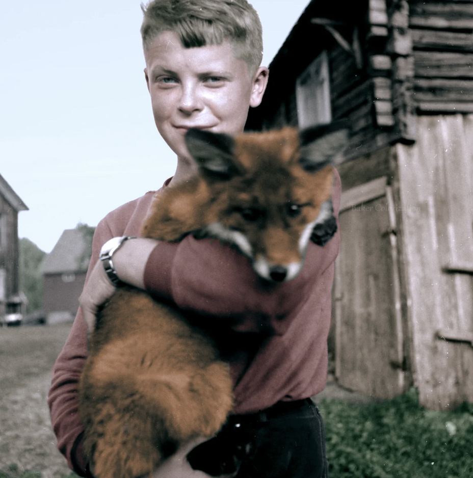 A young boy with short blonde hair is holding a fox in his arms. The setting is outdoors, with wooden buildings in the background. The boy is smiling slightly and wearing a watch on his left wrist. The fox appears calm and relaxed.