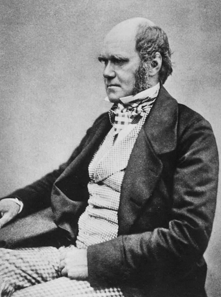 Black and white photo of a seated man with sideburns, wearing 19th-century clothing. He is looking to the right with a serious expression, dressed in a patterned waistcoat, bow tie, and dark jacket.