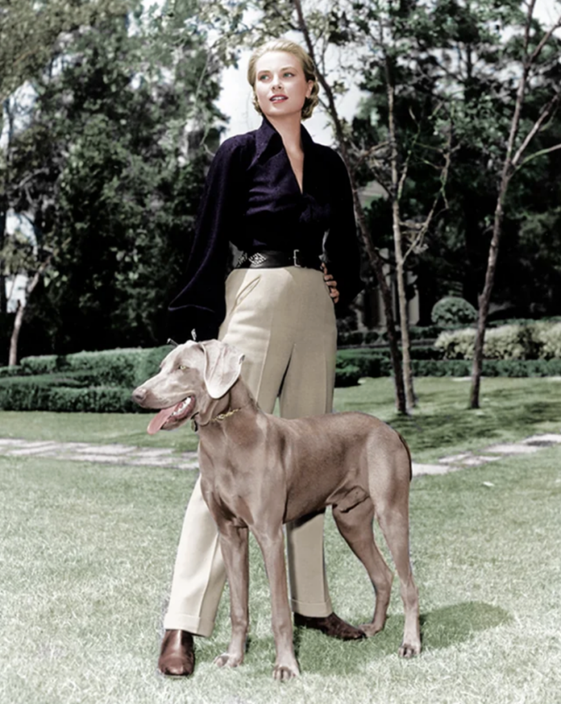 A person stands in a grassy park area, wearing a black shirt and beige pants. A large gray dog is standing in front of them. Trees and shrubs are visible in the background.