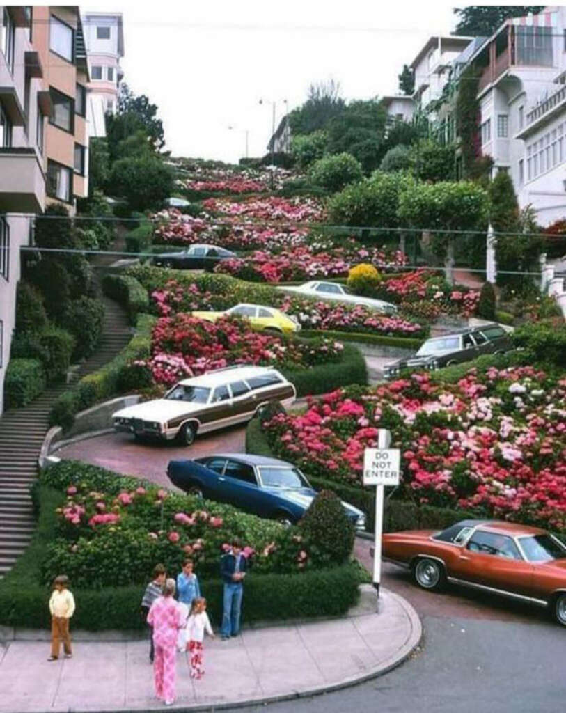 A curvy, flower-lined street filled with parked cars. People are gathered at the sidewalk's edge admiring the lush greenery and vibrant blooms. Buildings flank the road, and the scene is bustling with color and life.