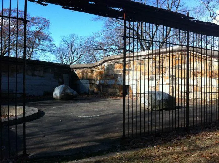 Abandoned zoo enclosure with iron bars and stone walls, featuring a bare ground and large rocks. Leafless trees and a clear blue sky are visible in the background.